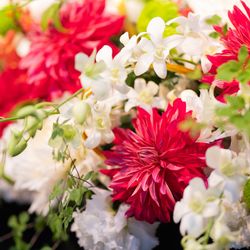 ホテル雅叙園東京の写真5枚目