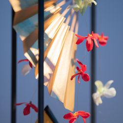 ホテル雅叙園東京の写真8枚目