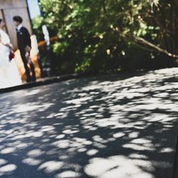 TRUNK HOTELの写真23枚目