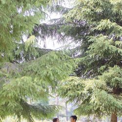 軽井沢プリンスホテル フォレスターナ軽井沢の写真35枚目