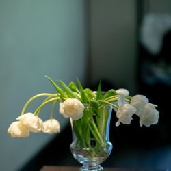 フォーチュン ガーデン 京都の写真25枚目