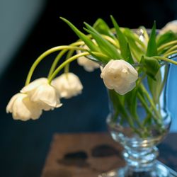 フォーチュン ガーデン 京都の写真36枚目