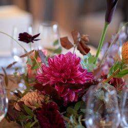 フォーチュン ガーデン 京都の写真34枚目