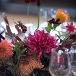 フォーチュン ガーデン 京都の写真13枚目