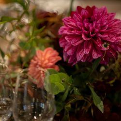 フォーチュン ガーデン 京都の写真27枚目