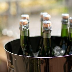 フォーチュン ガーデン 京都の写真13枚目