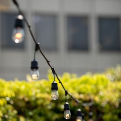 フォーチュン ガーデン 京都の写真34枚目