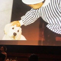 横浜迎賓館の写真9枚目