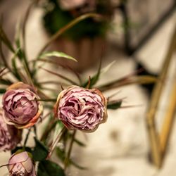 キンプトン新宿東京の写真2枚目