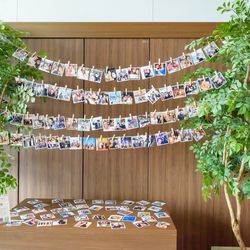 ルーキスの写真1枚目