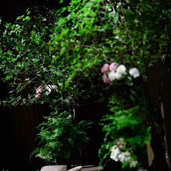 パレスホテル東京の写真23枚目