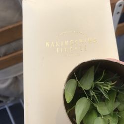 中之島テラス # AND MEの写真34枚目