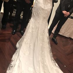 南青山サンタキアラ教会の写真32枚目