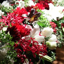 グランド ハイアット 東京の写真21枚目