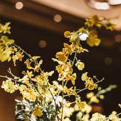 東京會舘の写真7枚目