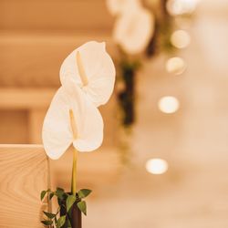 東京會舘の写真5枚目