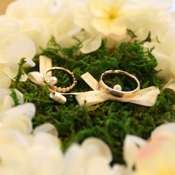 アンジェローブ の写真4枚目