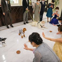 ガーデンヒルズ迎賓館 大宮の写真29枚目