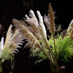 パレスホテル東京の写真30枚目