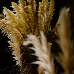 パレスホテル東京の写真33枚目