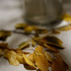 パレスホテル東京の写真11枚目