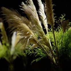 パレスホテル東京の写真4枚目