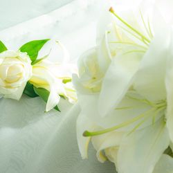 横浜迎賓館の写真9枚目