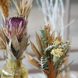 ララシャンス 博多の森の写真24枚目