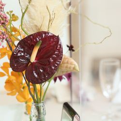 ララシャンス 博多の森の写真12枚目