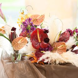 ララシャンス 博多の森の写真14枚目