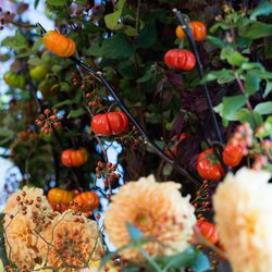 パレスホテル東京の写真35枚目