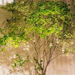 ウェスティンホテル東京の写真9枚目