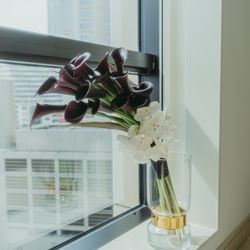 キンプトン新宿東京の写真4枚目