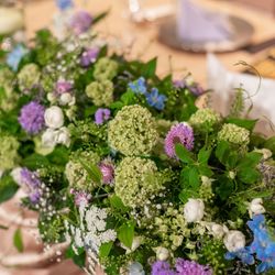 ルーキスの写真14枚目