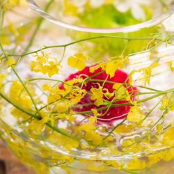 ホテル雅叙園東京の写真36枚目