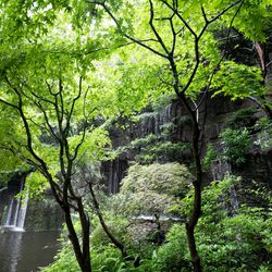 ホテル雅叙園東京の写真30枚目