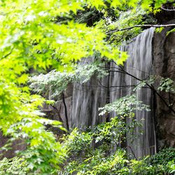 ホテル雅叙園東京の写真32枚目