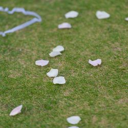 ホテル雅叙園東京の写真8枚目