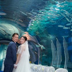 品川プリンスホテルの写真6枚目