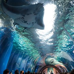 品川プリンスホテルの写真20枚目