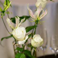 ザ・コンダーハウスの写真22枚目