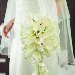 広島モノリスの写真8枚目