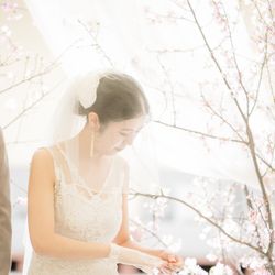 小笠原伯爵邸の写真22枚目