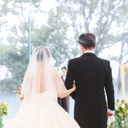 キャッスルガーデン大阪の写真23枚目