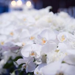 名古屋マリオットアソシアホテルの写真1枚目