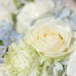 品川プリンスホテルの写真13枚目