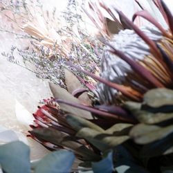 ザ・ピーク プレミアムテラスの写真1枚目