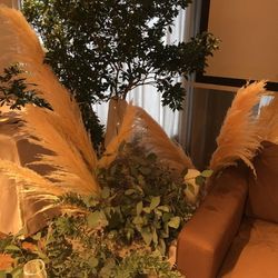 TOASTの写真34枚目