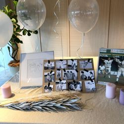 TOASTの写真33枚目