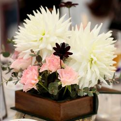 ララシャンス 博多の森の写真9枚目